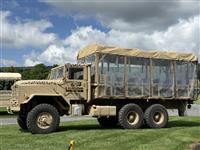 T-09052026-6 | Safari  1.jpg