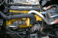 T-04282025-10 | DSC_0728.JPG