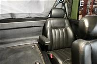 T-12202025-27 | DSC_0694.JPG