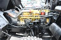 T-04282025-10 | DSC_0720.JPG