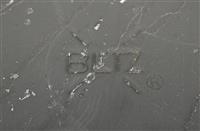 ALL-7437 | DSC_9545.JPG