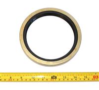 SP-3166 | SP-3166 Seal (5).JPG