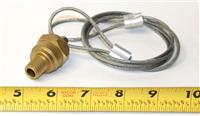 TR-352 | IMG_8590.JPG