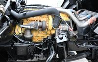 T-04282025-10 | DSC_0725.JPG