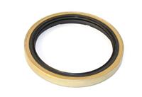 SP-3166 | SP-3166 Seal (6).JPG