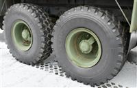 T-10302025-28 | DSC_9889.JPG