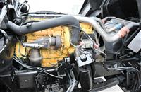 T-04282025-10 | DSC_0727.JPG