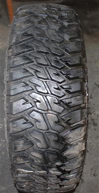 TI-1857 | More Captures (4).JPG