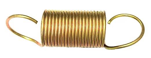 9M-1001 | 9M-1001  Fuel Pump Extension Spring M939 (4).jpg