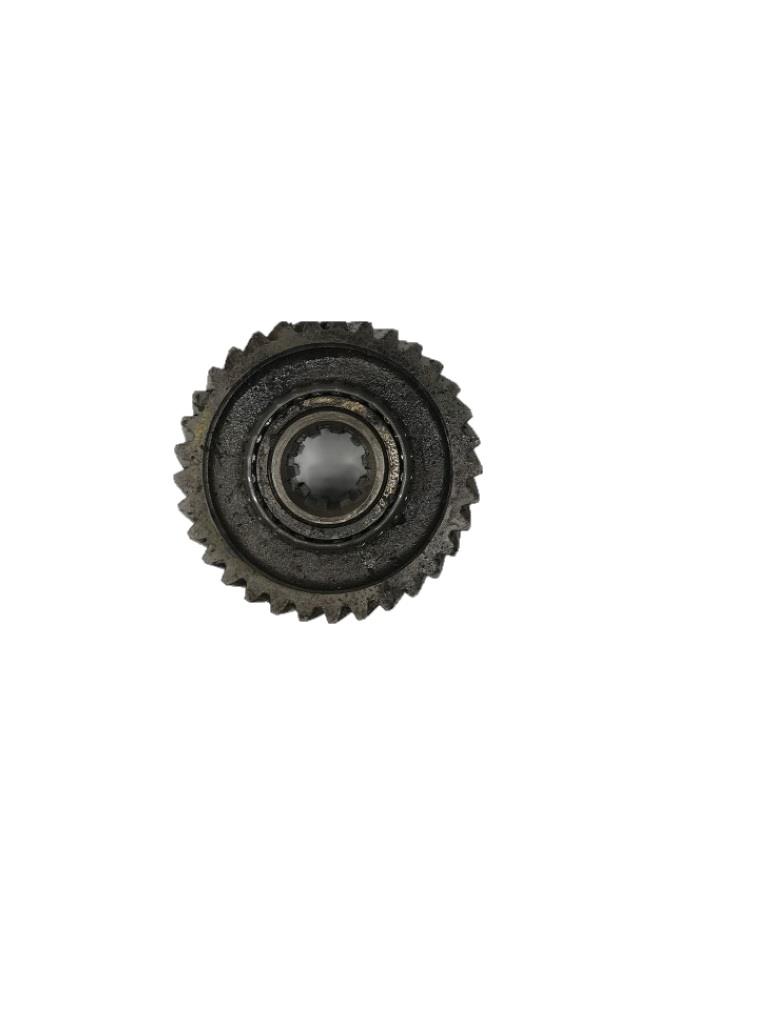 MU-274 | IMG_2579 (Medium).JPG