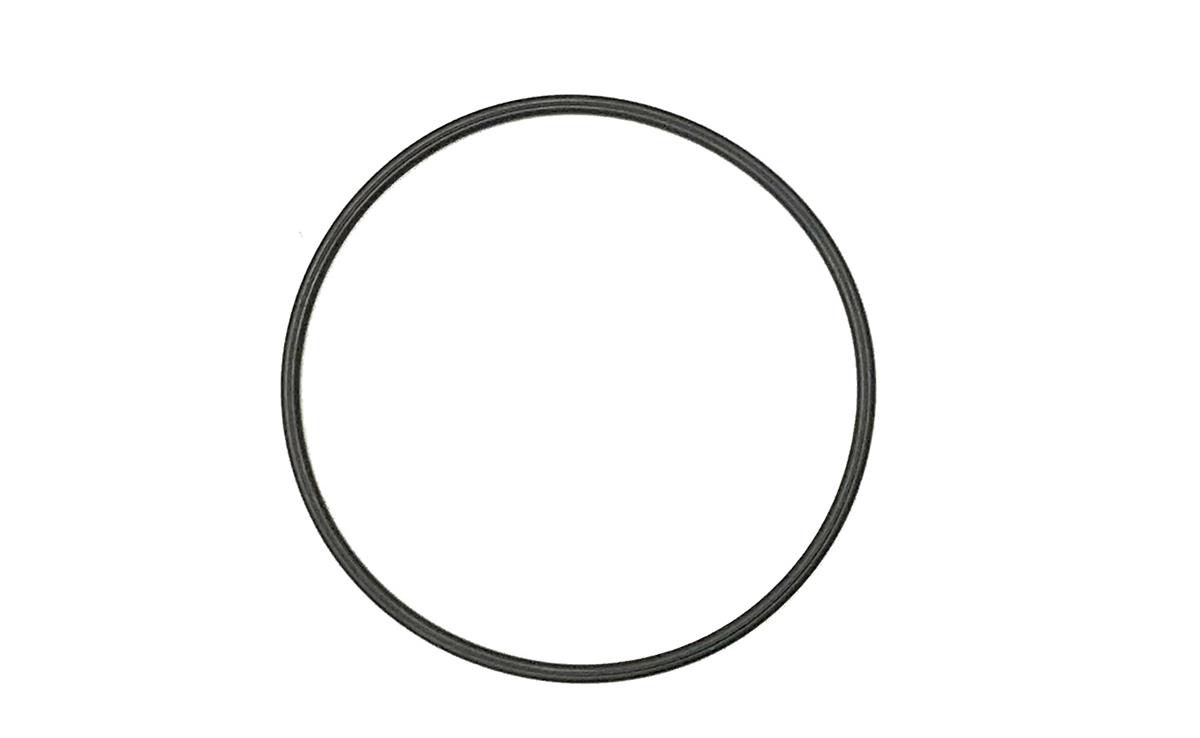 SP-2465 | SP-2465  Susv Plain Seal (1).jpg