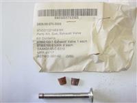 SP-376 | Picture2.JPG