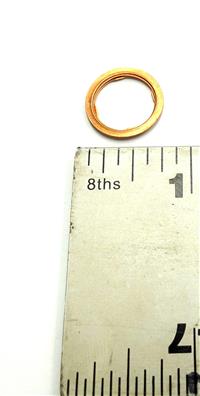 FM-251 | 5310-00-964-7811 FMTV Brake Actuator Washer Seal (4) (Large).JPG