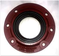 5T-2013 | 5T-2013 Diff Seal Plate (1).JPG