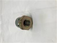 ALL-529 | ALL-529-Check Valve (1).JPG