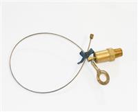 COM-3010 | COM-3010 Air Tank Quick Drain Bleeder Kit (9).JPG