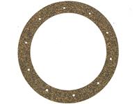COM-3128 | COM-3128 In-Tank Pump Gasket (1).jpg