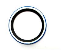 COM-5723 | COM-5723 Engine Seal Kit LDT-465 and LDS-465 Multifuel Diesel Engines (26).JPG