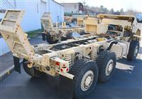 T-01011980-1 | Caiman (50).JPG