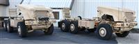 T-01011980-1 | Caiman (9).JPG