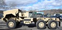T-01011980-1 | Caiman painted 2-4-25 (38).JPG