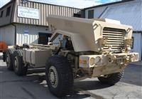 T-01011980-1 | Caiman painted 2-4-25 (47).JPG