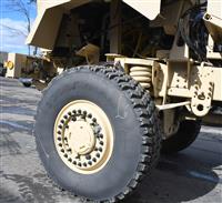 T-01011980-1 | Caiman painted 2-4-25 (49).JPG