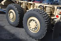 T-01011980-1 | Caiman painted 2-4-25 (54).JPG