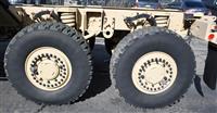 T-01011980-1 | Caiman painted 2-4-25 (55).JPG