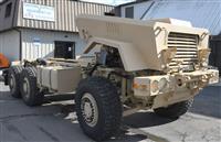 T-01011980-1 | Caiman painted 2-4-25 (58).JPG