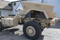 T-01011980-1 | Caiman painted 2-4-25 (59).JPG
