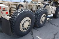 T-01011980-1 | Caiman painted 2-4-25 (65).JPG
