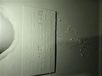 FM-108 | FM-108 Docs 5.jpg