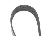 FM-595 | FM-595 FMTV Serpnetine Belt (5).JPG