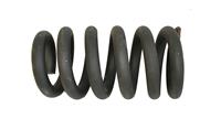 HM-3879 | HM-3879  Spring Helical Compression Rear Extra Heavy Duty HMMWV (2).JPG
