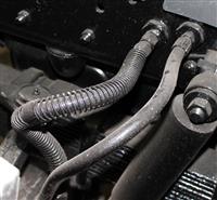 9M-157 | IMG_5384.JPG