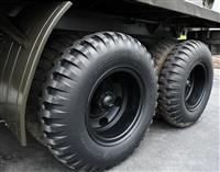 T-06172025-11 | M342 (21).JPG