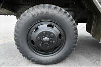 T-06172025-11 | M342 (28).JPG