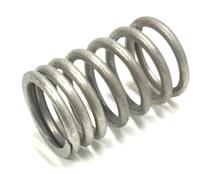 M35-491 | M35-491  Outer Valve Spring (3).jpg