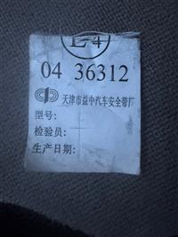 T-03142025-4 | MAG 2.jpg