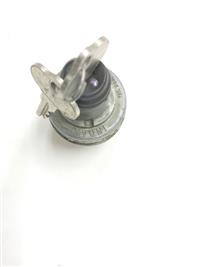 MU-193 | MU-193  Ignition Switch Mule 274 (4).JPG