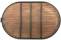 SP-324 | P-324 Secondary Intake Air Filter (1).jpg