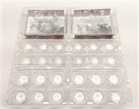 SP-2836 | Plastic Large Egg Carton (1).jpg