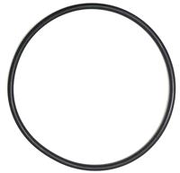 SP-2336 | Preformed Packing O-Ring (1).jpg