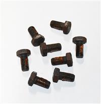 SP-0099 | SP-0099  (5).JPG