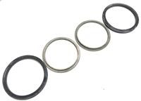 SP-2163 | SP-2163 Plain Seal (2).jpg