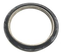 SP-2163 | SP-2163 Plain Seal (5).jpg