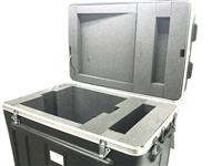 SP-2205 | SP-2205  Black Thermodyne Shock Stop Flight Hard Plastic Case (45).jpeg