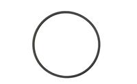 SP-2465 | SP-2465  Susv Plain Seal (1).jpg