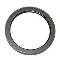 SP-3167 | SP-3167 Seal (7).JPG